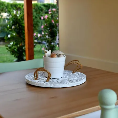 Guest house Kododo In Tuscany Lucca