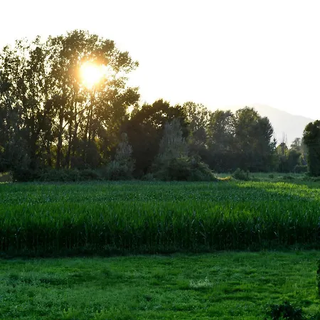 Kododo In Tuscany