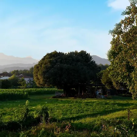 Guest house Kododo In Tuscany Lucca